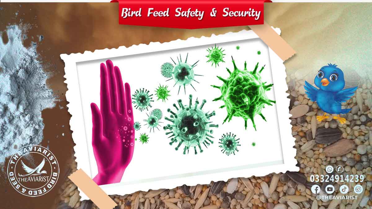 Bird Feed Security and Safety by The Aviarist